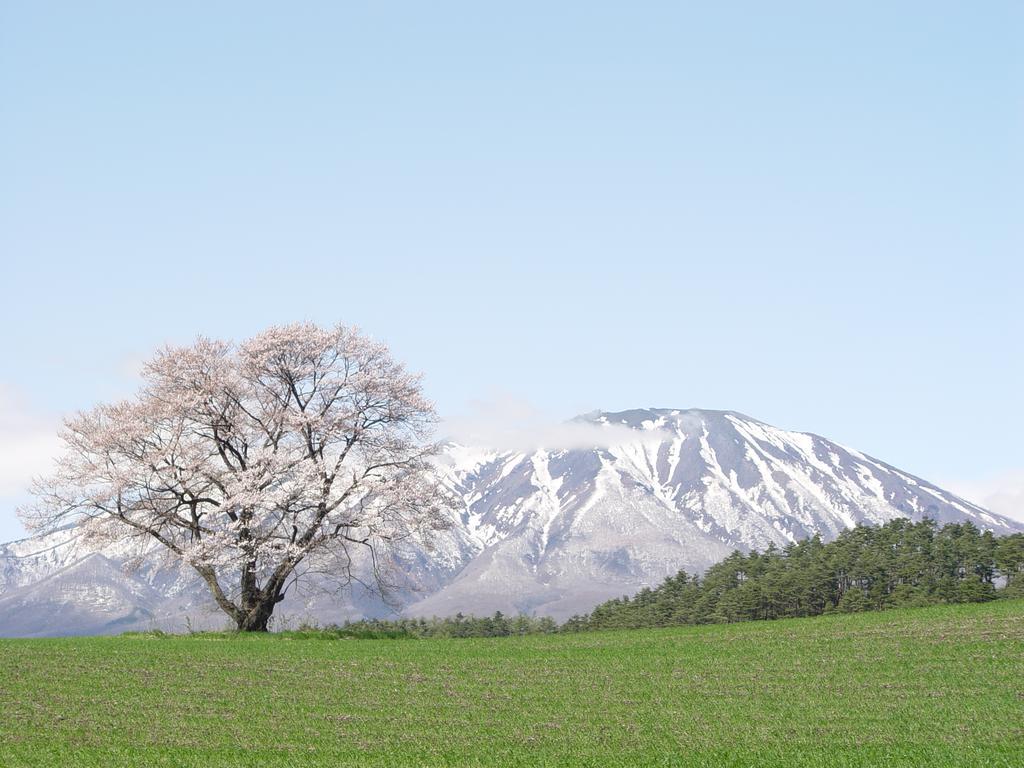 Shizukuishi Prince Hotel Eksteriør bilde